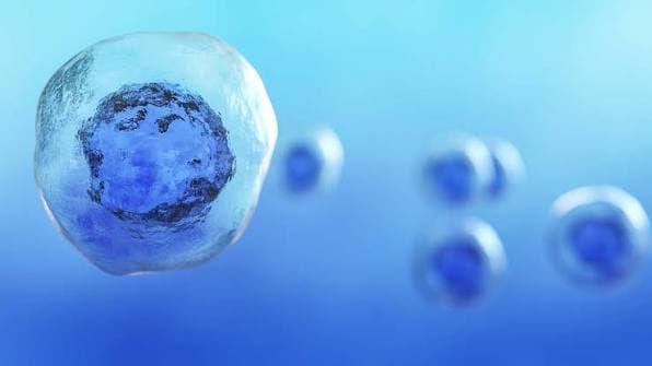 Stem Cell Therapy — gallery image 5